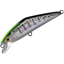 Amazon | テイルウォーク (Tailwalk) ネイティブトラウトロッド