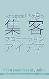 小さな美容室12ヶ月の集客プロモーションアイデア (菅野ブックス)