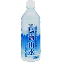Amazon.co.jp: 鳥海山水 500mL×24本×1ケース ペットボトル 天然水