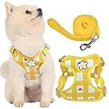 KUVEELA PET ペット用ハーネス＆リードセット 犬 ハーネス 犬のリード ドッグウエア 胴輪 調節可能 お散歩 お外出 着脱簡単 小型犬 中型犬 大型犬（（格子）イエロー XL）