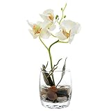 MyGift Mini合成シルク人工胡蝶蘭Orchid inガラス花瓶,ホワイト