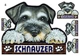 犬ステッカー シュナウザー4 シール