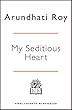 My Seditious Heart