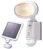 ムサシ RITEX ソーラーライト eco S-60