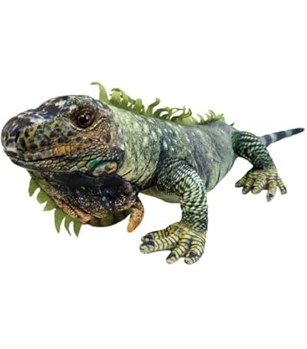 Amazon.co.jp: イグアナのぬいぐるみ | リアルなイグアナ トカゲの