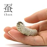 蚕 -KAIKO-