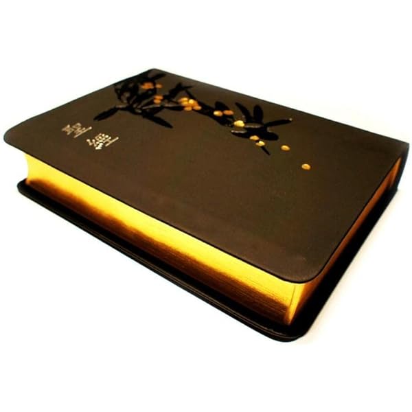 Amazon.co.jp: 聖經-當代譯本(地圖金翻口彩繪仿皮索引2版精裝)/圣经