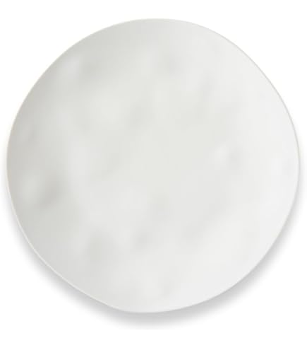 増田光　コアラ　皿 コアラ顔大皿 / 増田光