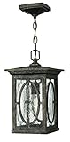 Hinkley Lighting 1492AM Randolph 1-Light Outdoor Light, Autumn [並行輸入品]
