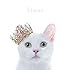 Aimer「BEST SELECTION "blanc"(通常盤)」