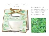 [植物 栽培 栽培セット ガーデン 手軽 癒し グリーン ハーブ]ティーカップガーデン　カモミール