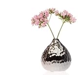 Chive Nature Gourd Vase, Dark Chrome [並行輸入品]