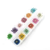パウダートレーディング レースフラワー 押し花 36枚 レジン 封入 ネイルアート パーツ ドライフラワー