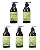 【X5個セット】 ナプラ ケアテクトHB カラーシャンプーS しっとり タイプ 300ml napla