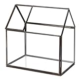 House Terrarium ハウステラリウム (Open roof)