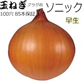 タマネギ 苗 ソニック 【 たまねぎ 苗 プラグ100穴（１００本）】 玉葱 ８５本保証