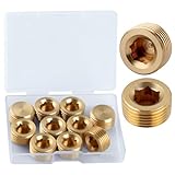 LEONTOOL NPTオス配管プラグ継手セット 3/8" 10個入り 真鍮パイププラグセット NPTオスプラグフィッティングセット 内部六角ネジソケットパイプ継手 真鍮パイププラグ継手 真鍮六角カウンターサンクプラグ NPTプラグ 真鍮パイプ継手 NPTオス パイププラグ継手 埋没パイププラグ パイプの端を閉じる