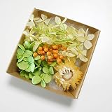 ハーバリウム 花材 キット あじさい かすみ草 シルバーデージー プリザーブドフラワーキット (イエロー)