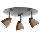 Cal Lighting SL-954-3R-BSMRU Spot Light with Mesh Rust Shades Brushed Steel Finish [並行輸入品]