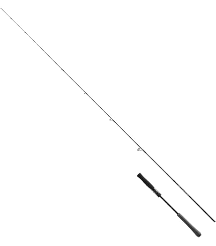 シマノ　ジギングロッド　2ピース　S60ー4 シマノ シマノ '25 グラップラー タイプJ S60-4 (ジギングロッド