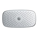 Hansgrohe 04534400 Raindance Select E 300 AIR Green 2-Jet Showerhead (2.0 GPM), White/Chrome by Hans