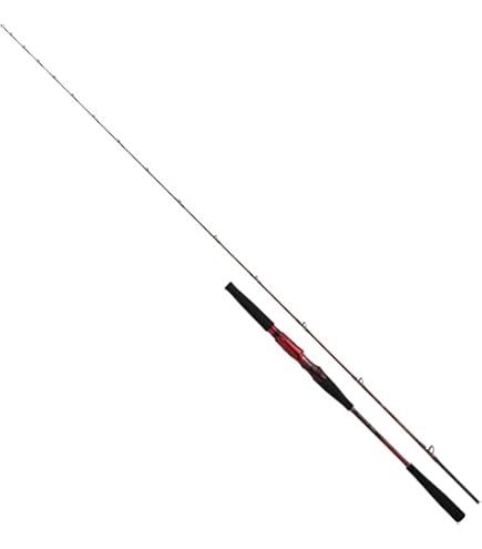 Amazon | ダイワ(DAIWA) 船竿 リーディング・V 82 M-185MT・V 釣り竿