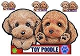 犬ステッカー トイプードル58 シール
