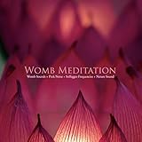 All The 9 Solfeggio Freq + Pink Noise + Womb Sounds +（山梨・本栖湖の自然音）