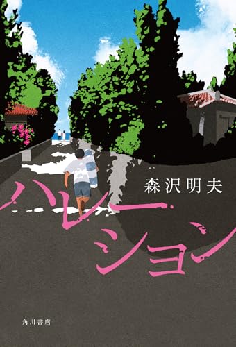 森沢明夫:ハレーション