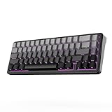 EPOMAKER x AULA F65 65%ワイヤレスメカニカルキーボード ホットスワップ対応ガスケットカスタムゲーミングキーボード 5層パッド RGBバックライト Bluetooth/2.4GHz/USB-C 潤滑済みリニアスイッチ搭載 技適認証取得 (Black, Flamingo Switch)