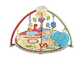Fisher-Price Luv U Zoo Deluxe Musical Mobile Gym [並行輸入品]
