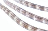 Celebrations Indoor/Outdoor Incandescent Rope Light 18' 216 Clear Lights [並行輸入品]