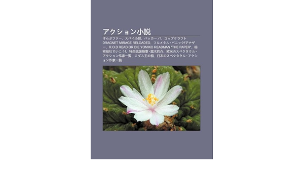 Akushon Xi O Shu Kenpuf Supai Xi O Shu Bakk No Koppukurafuto Dragnet Mirage Reloaded Furumetaru Panikku Anaz S Su Wikipedia 本 通販 Amazon