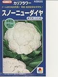 スノーニューダイヤ　　　タキイ種苗のカリフラワー種です