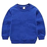 Fairy Baby ベビー服 パーカー トレーナー 長袖 子供服 無地 スウェット 薄手 男の子 女の子 通学 size 90 (ブルー)