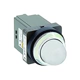 IDEC φ30 シリーズ パイロットライト LED照光 丸形 AC100/110V APN116DNW