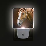 Alaza LED Night Light withスマートDusk to Dawnセンサー、Painting Portrait Of Horse Animalプラグin Night Light Gr