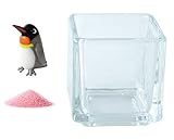 花市場直送便 ミニチュアガラス キングペンギン & カラーサンド パステルピンク & 植え込み用グラス ニューブロックS
