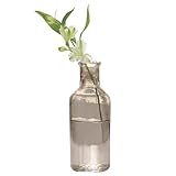 Paseo Flower Vase EY-04BR