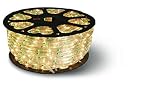 Westgate Lighting Incandescent Rope Light 150 Feet - 2 Wire - 120V Light - Best String Lights For Ho