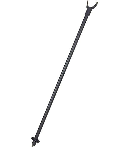 アガベ✴︎ギガンテンシス✴︎大株✴︎超強棘✴︎ドライガーデン