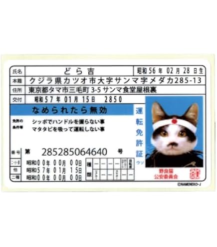 Amazon.co.jp: なめ猫 免許証02 又吉 キャラクターステッカー