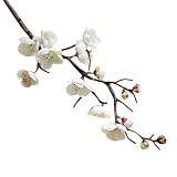 exteren美しい人工フェイク花Plum Blossom Floralウェディングパーティーホームインテリア Length: 60cm ホワイト
