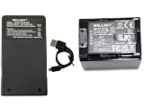 WELLSKY BN-VG121 BN-VG129 互換バッテリー 1個 + AA-VG1 超軽量 USB Type C バッテリーチャージャー 互換充電器1個 [ 2個セット] [ 純正品と同じよう使用可能・残量表示可能 ] [ ビクター Everio エブリオ ]