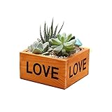 LOVE木製の植木鉢 鉢・プランターカバー