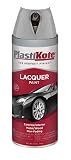 PlastiKote T-41 Dull Aluminum Lacquer Paint - 12 Oz. [並行輸入品]