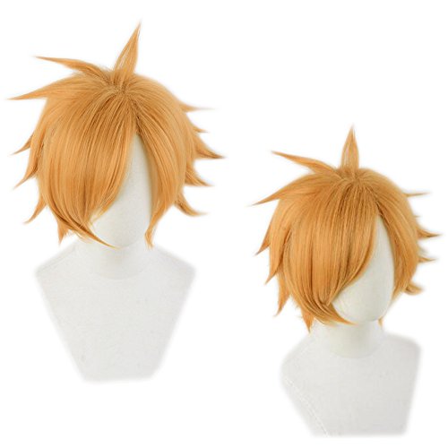 Fate/Grand Order ロビンフッド 風 ウィッグ FGO Fate/Grand Order ロビンフッド 風 ウィッグ Fate 風 ウィッグ