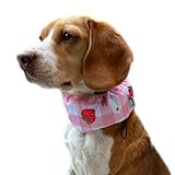 NEW クールネック 犬 2025年モデル 全20柄 夏 暑さ対策 ひんやり リード穴付き 保冷剤付属 首 裏生地防水 アルミ フレンチブルドック フレブル クールスヌード おしゃれ スイカ 熱中症予防 小型犬 中型犬 大型犬 KM882G (Lサイズ, 14いちご)