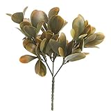 工場直接クラフト®のグループ4人工Schefflera Succulent Picks for Crafting、Arranging and Embellishing