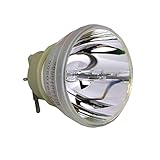 Rich Lighting プロジェクター 交換用 ランプ 5J.JH505.001（裸電球）ベンキュー MW612 対応【180日保証】